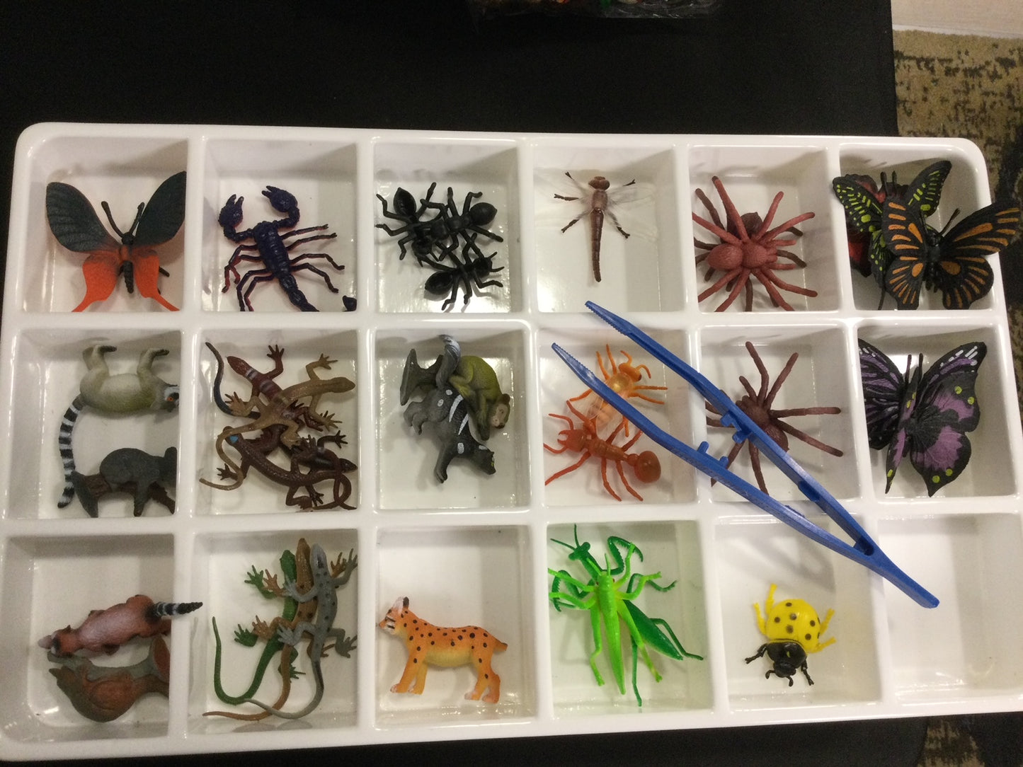 WHITE TRAY - 18 COMPARTMENTS