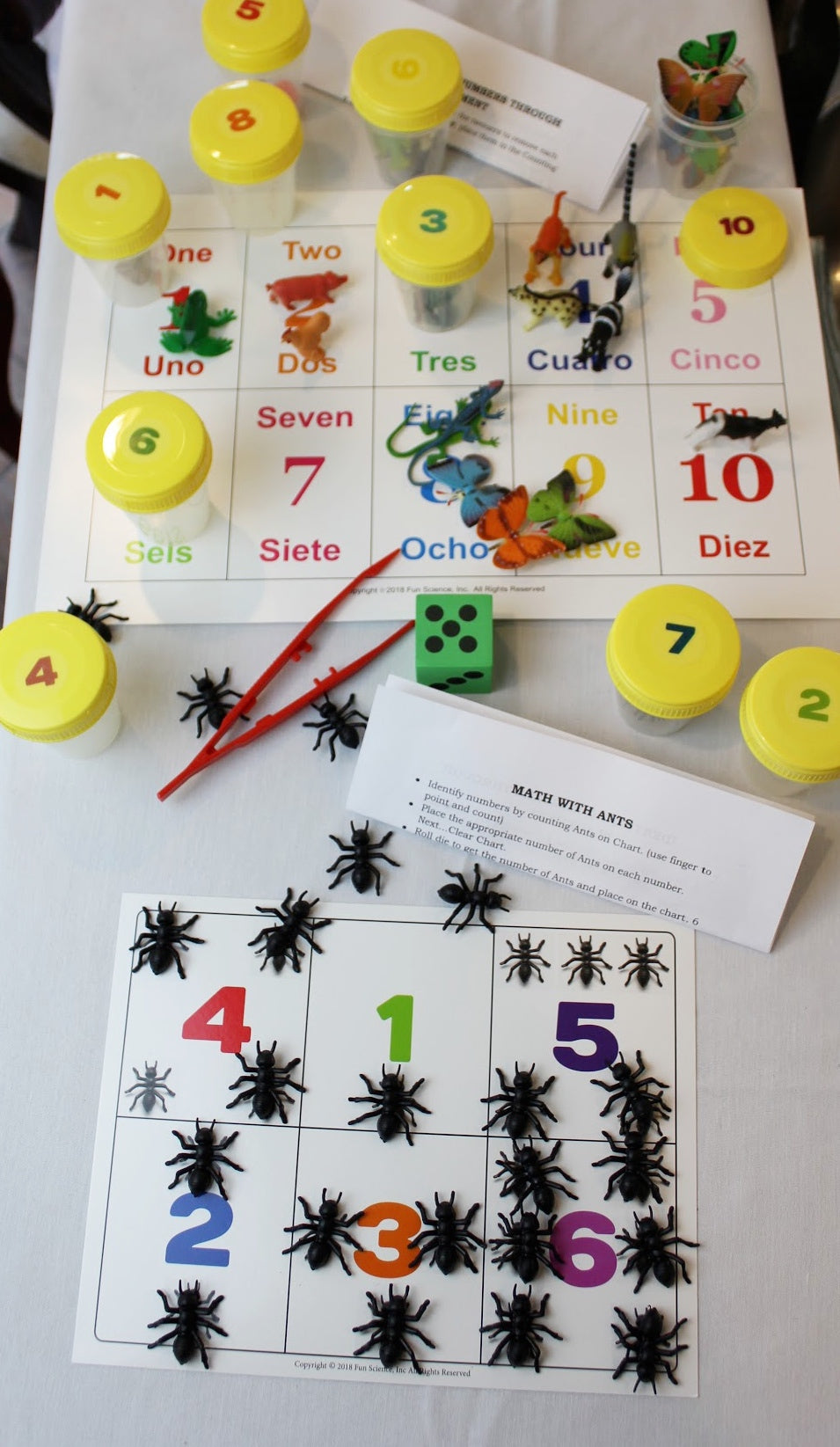 Counting with Ants โ funsciencekits.com